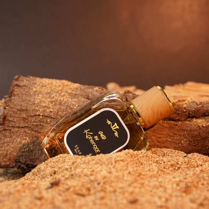 498336853_1204486865021532_2125594638873941599_n (1)